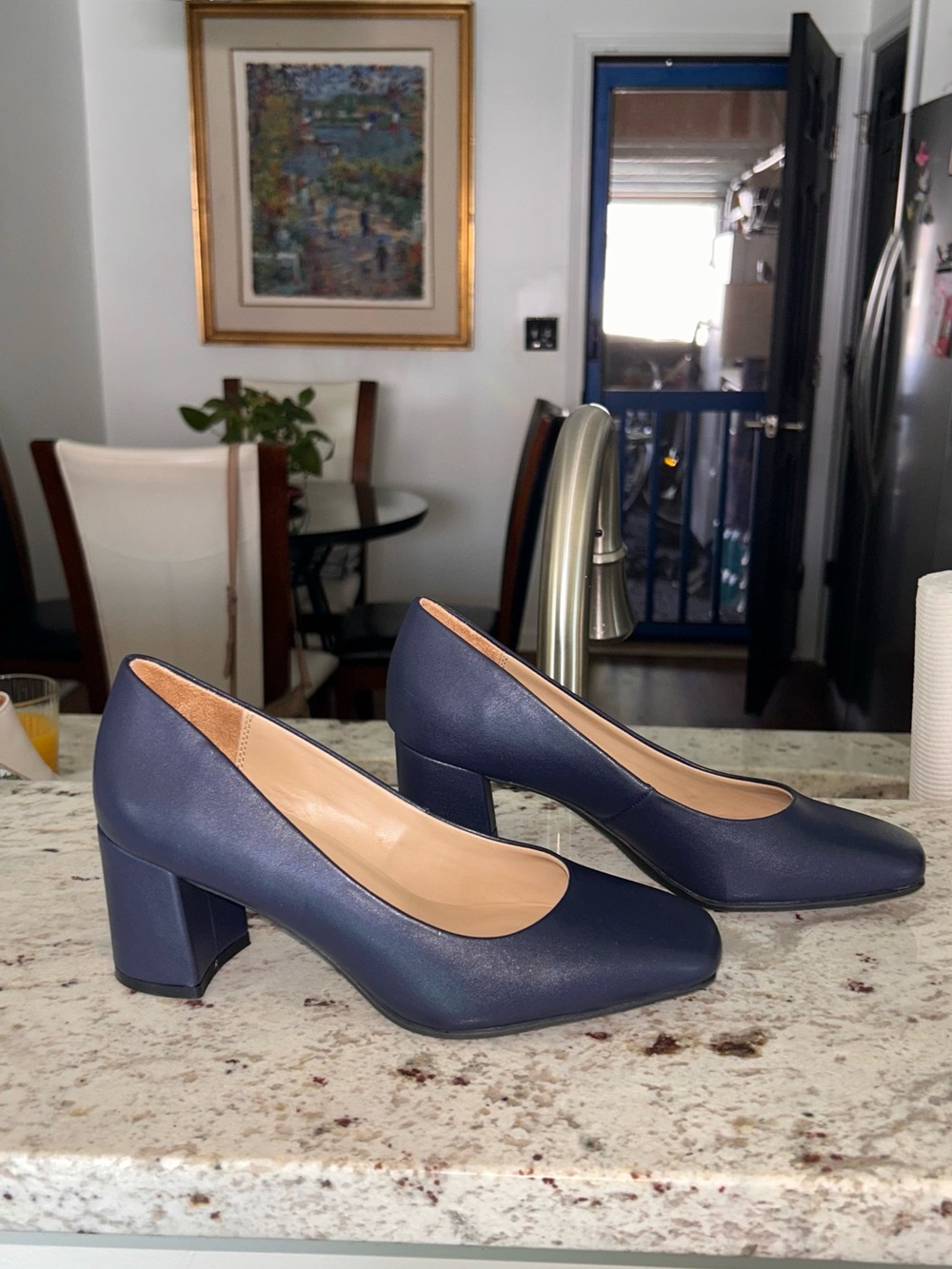 NATURALIZER WARNER PUMPS
